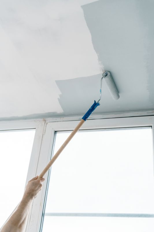 Ceiling Painting Service